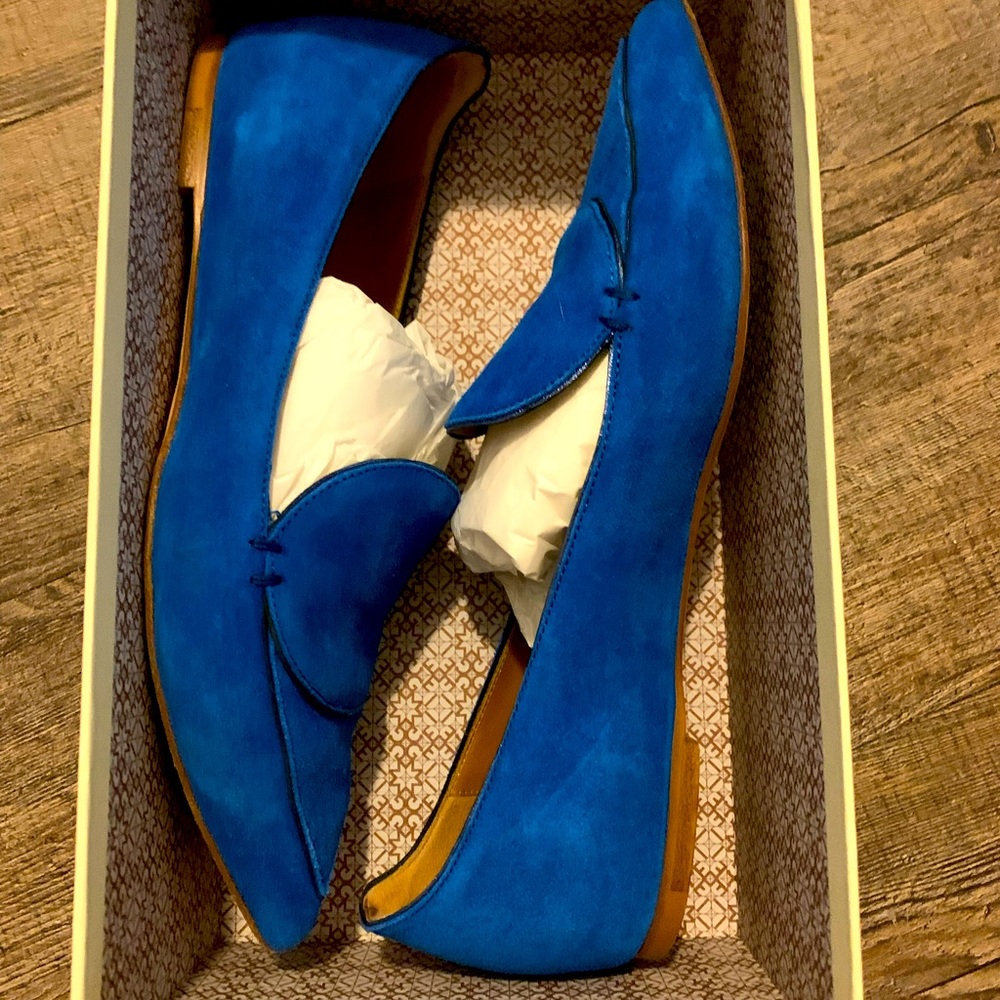 Cobalt blue, suede shoes from M. Gemi